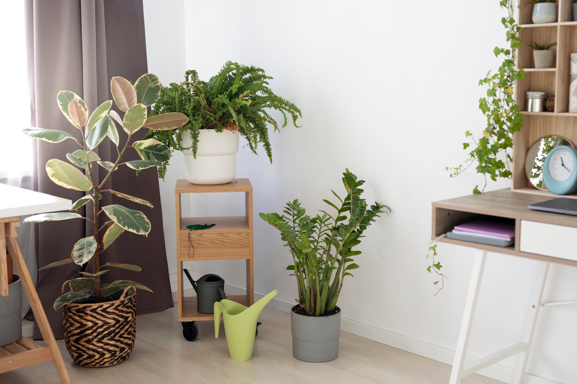 Embracing Greenery: The Benefits of Artificial Plants In Your Home