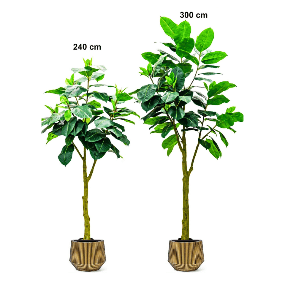 Artificial Rubber Plant Tree