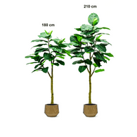 Artificial Rubber Plant Tree