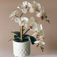 Faux Orchids Minimalistic Floral Arrangement in Ceramic Vase