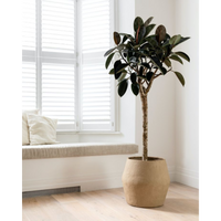 Artificial Rubber Plant Tree