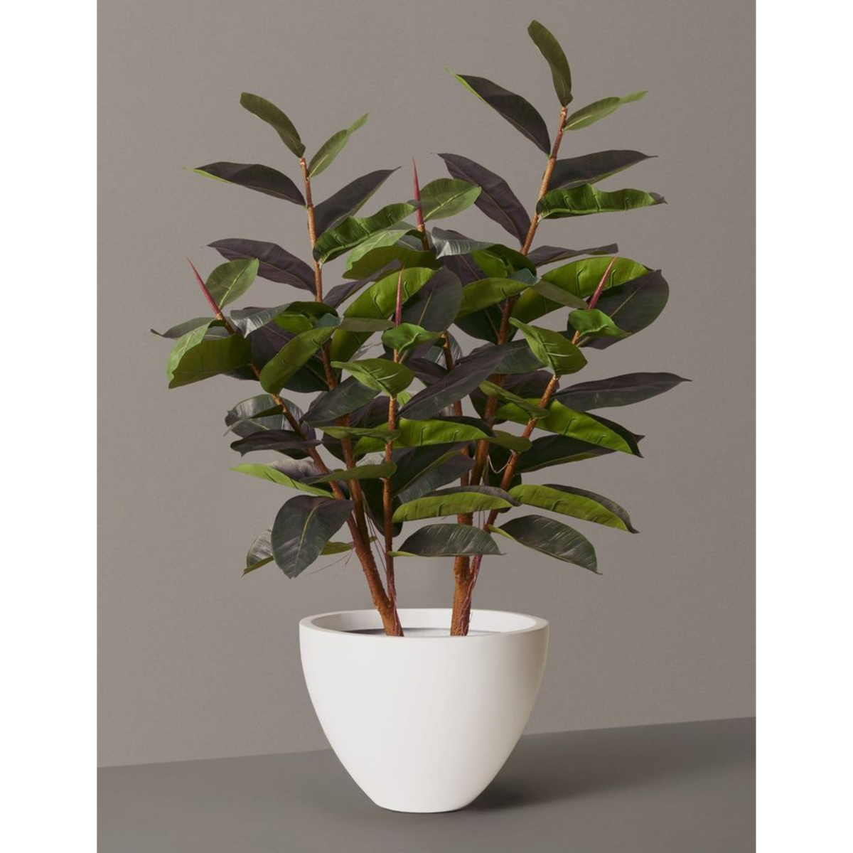 Artificial Rubber Plant Tree