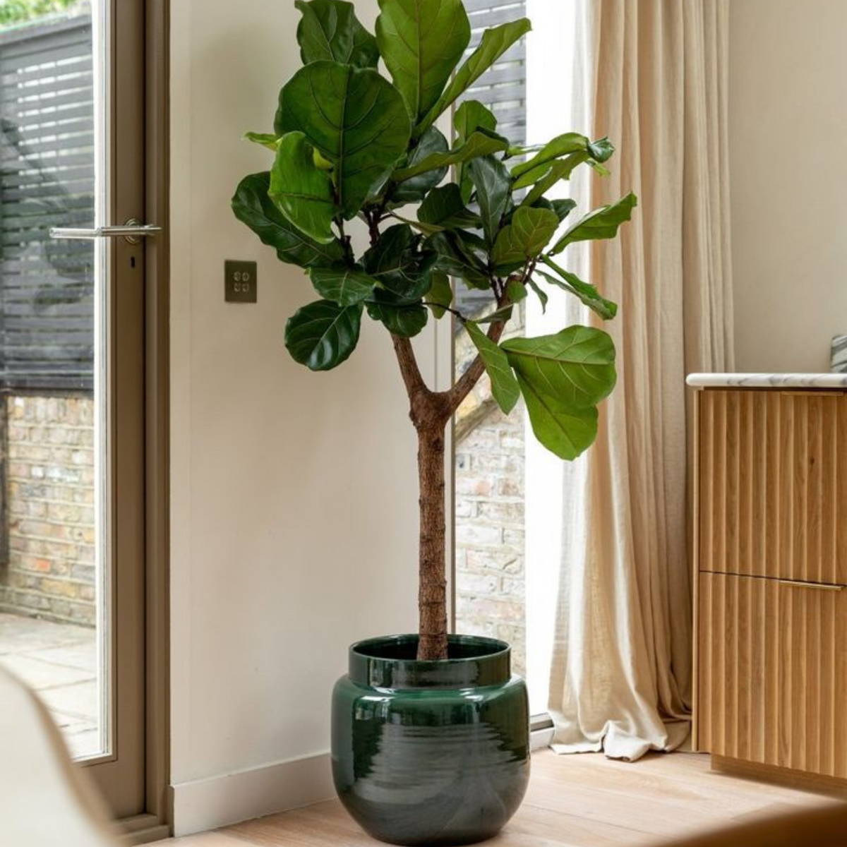 Artificial Fiddle Leaf Fig Tree