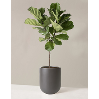 Artificial Fiddle Leaf Fig Tree