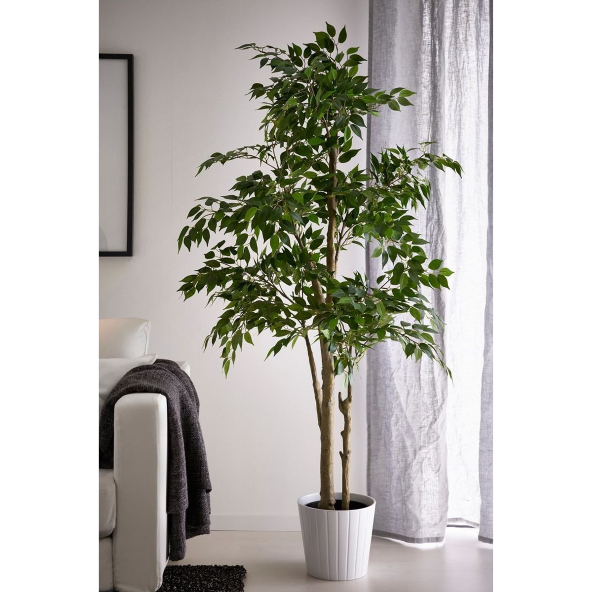 Artificial Ficus Tree