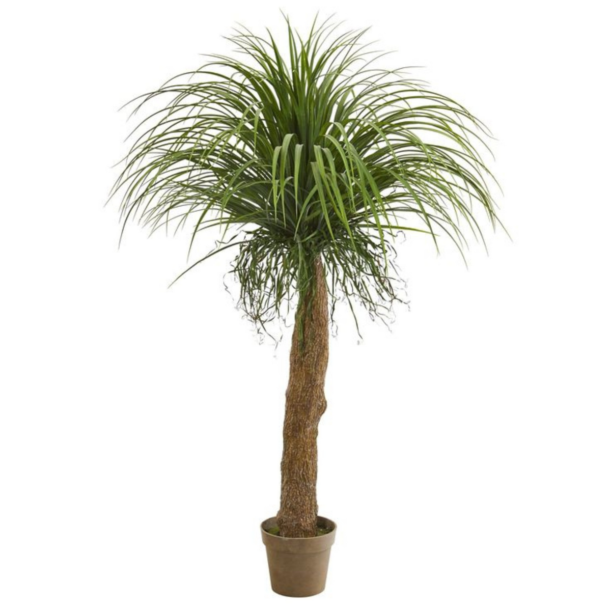 Artificial Ponytail Palm Tree