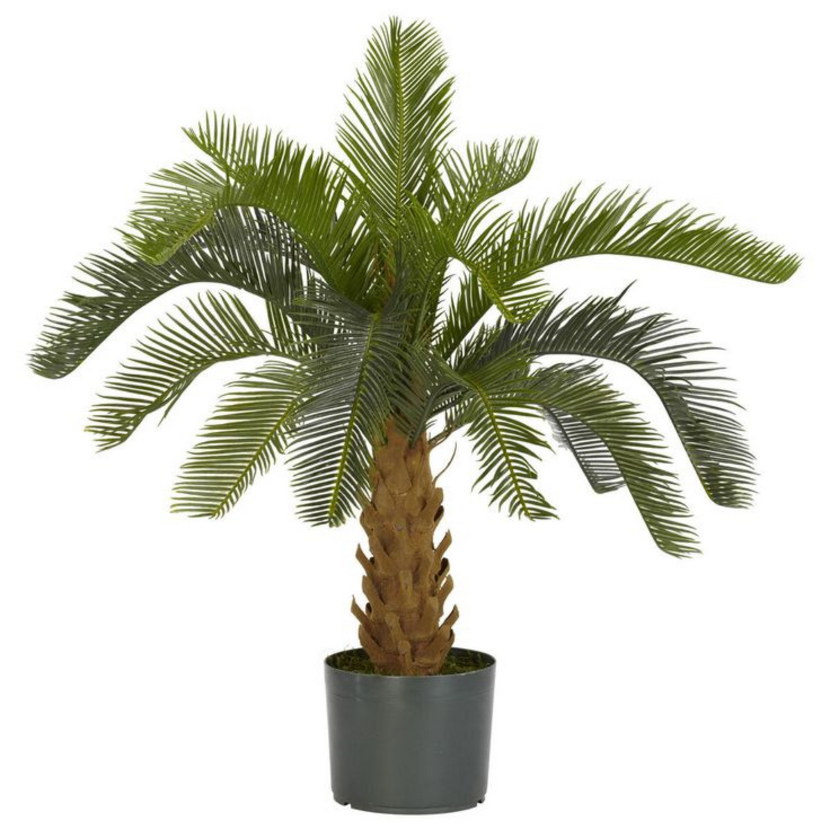 Artificial Cycas Palm Tree