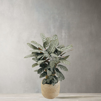 Artificial Calathea Freddie Bush Tree