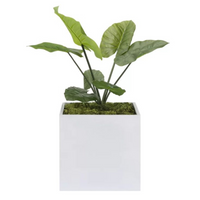 Coral Square Planter Pot White