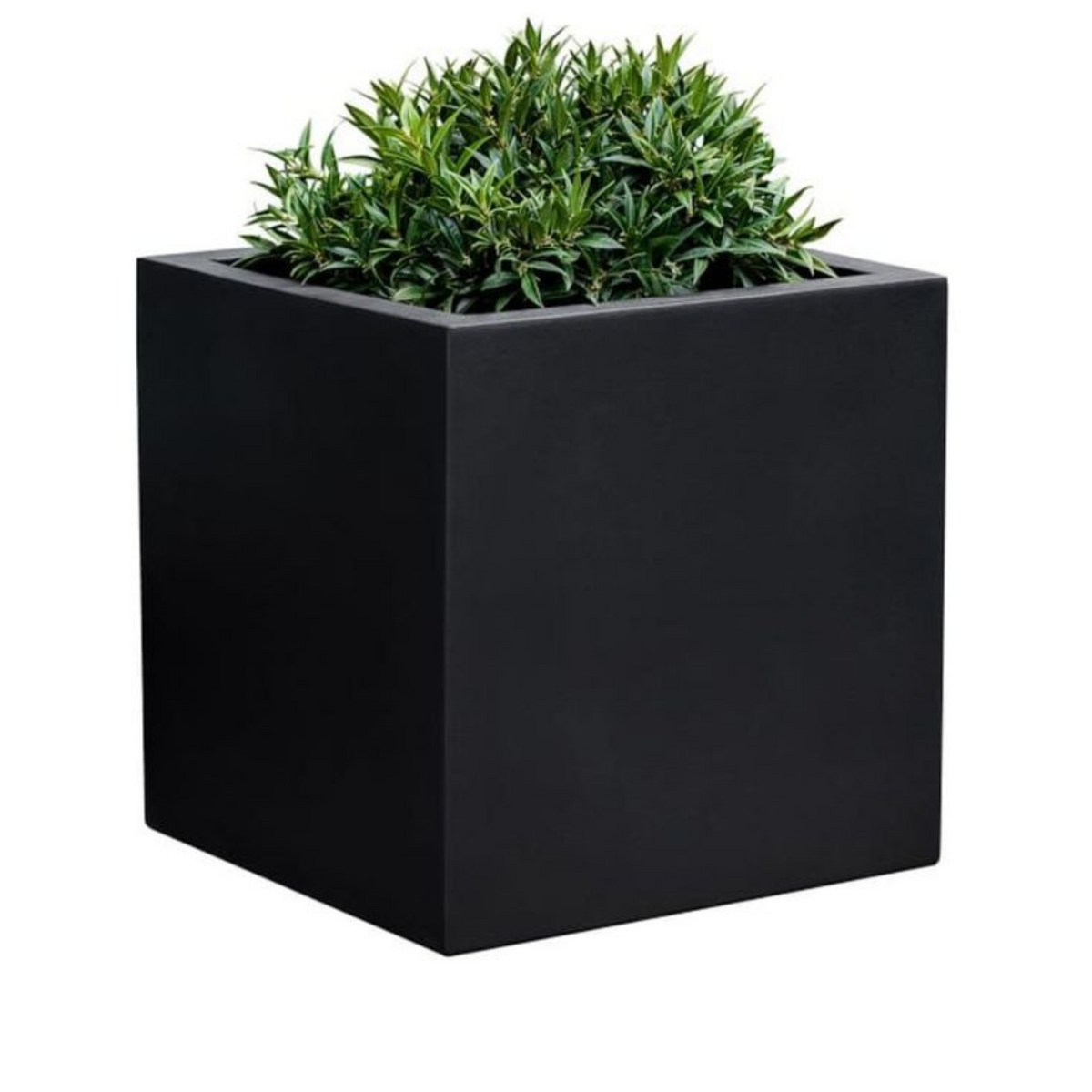 Coral Square Planter Pot Black