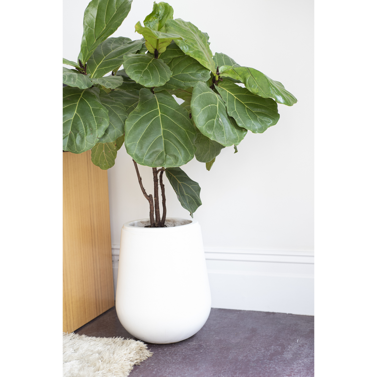 Swan Planter Pot White