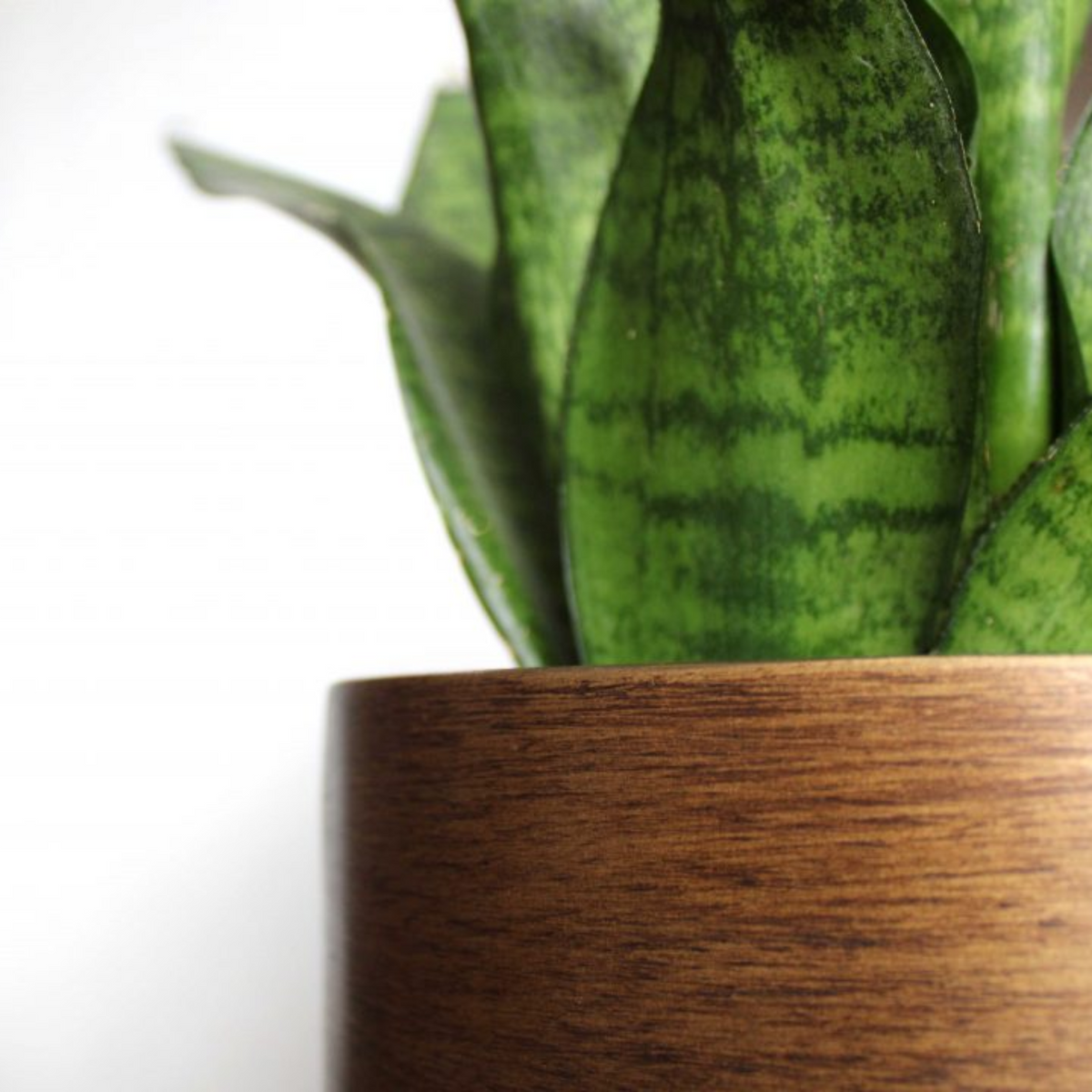 Luxe Planter Egg Rib Retro Gold