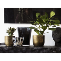 Luxe Planter Pot Bol Terrazo Gold