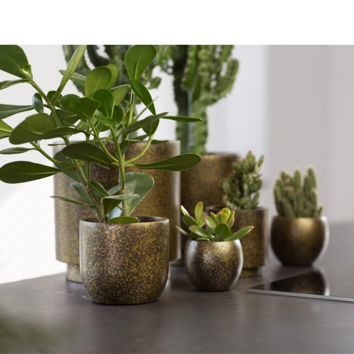 Luxe Planter Pot Bol Terrazo Gold