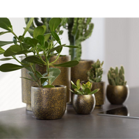 Luxe Planter Pot Bol Terrazo Gold