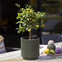 Luxe Planter Vase Cylinder Groove Green